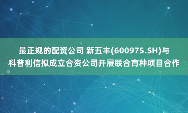 最正规的配资公司 新五丰(600975.SH)与科普利信拟成立合资公司开展联合育种项目合作