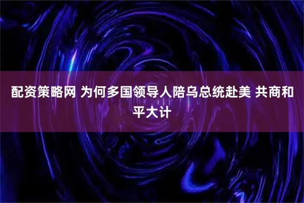 配资策略网 为何多国领导人陪乌总统赴美 共商和平大计